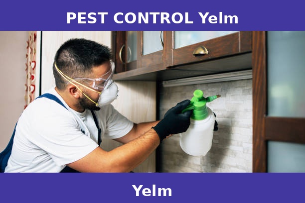 PEST CONTROL Yelm
